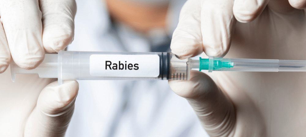 Rabies vaccine in Leicester and Nuneaton